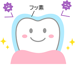 フッ素塗布